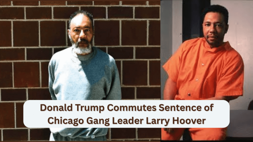 donald trump commutes sentence of chicago gang leader larry hoover