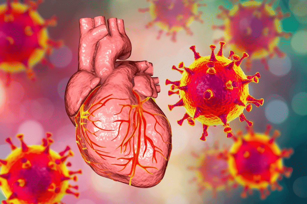 illustrated human heart surrounded by covid-19 virus particles, highlighting myocarditis risk