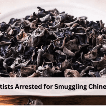 two-scientists-arrested-for-smuggling-chinese-fungus-into-u.s