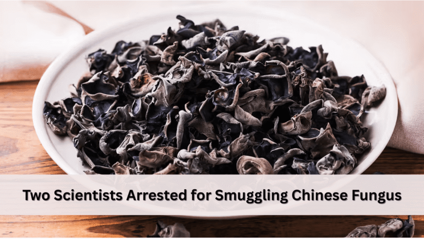 two-scientists-arrested-for-smuggling-chinese-fungus-into-u.s
