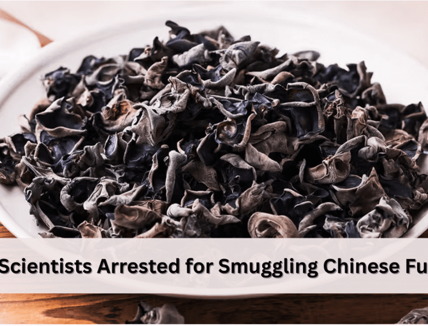 two-scientists-arrested-for-smuggling-chinese-fungus-into-u.s two-scientists-arrested-for-smuggling-chinese-fungus-into-u.s
